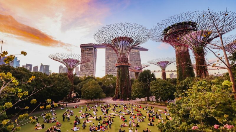 A Guide to Community Gardens in Singapore