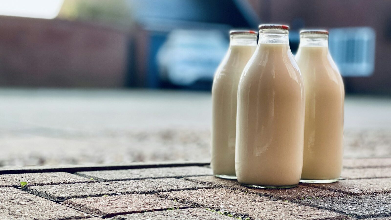 A Guide to Plant-Based Milks