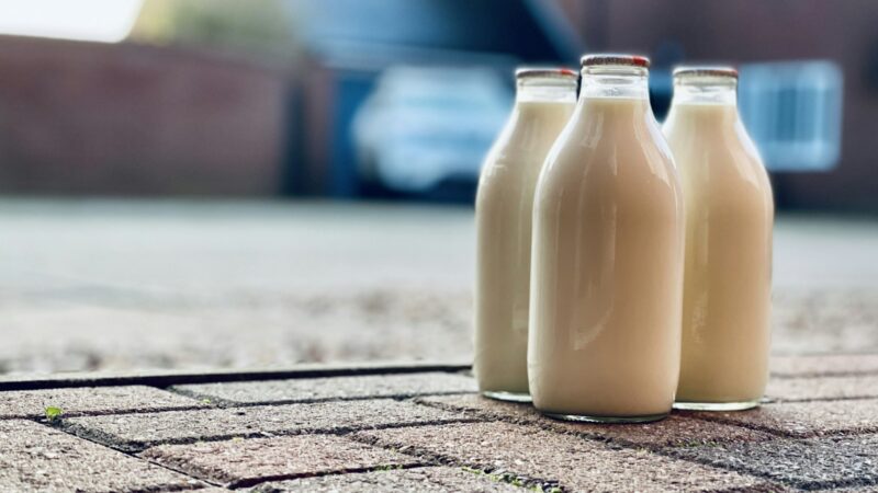 A Guide to Plant-Based Milks