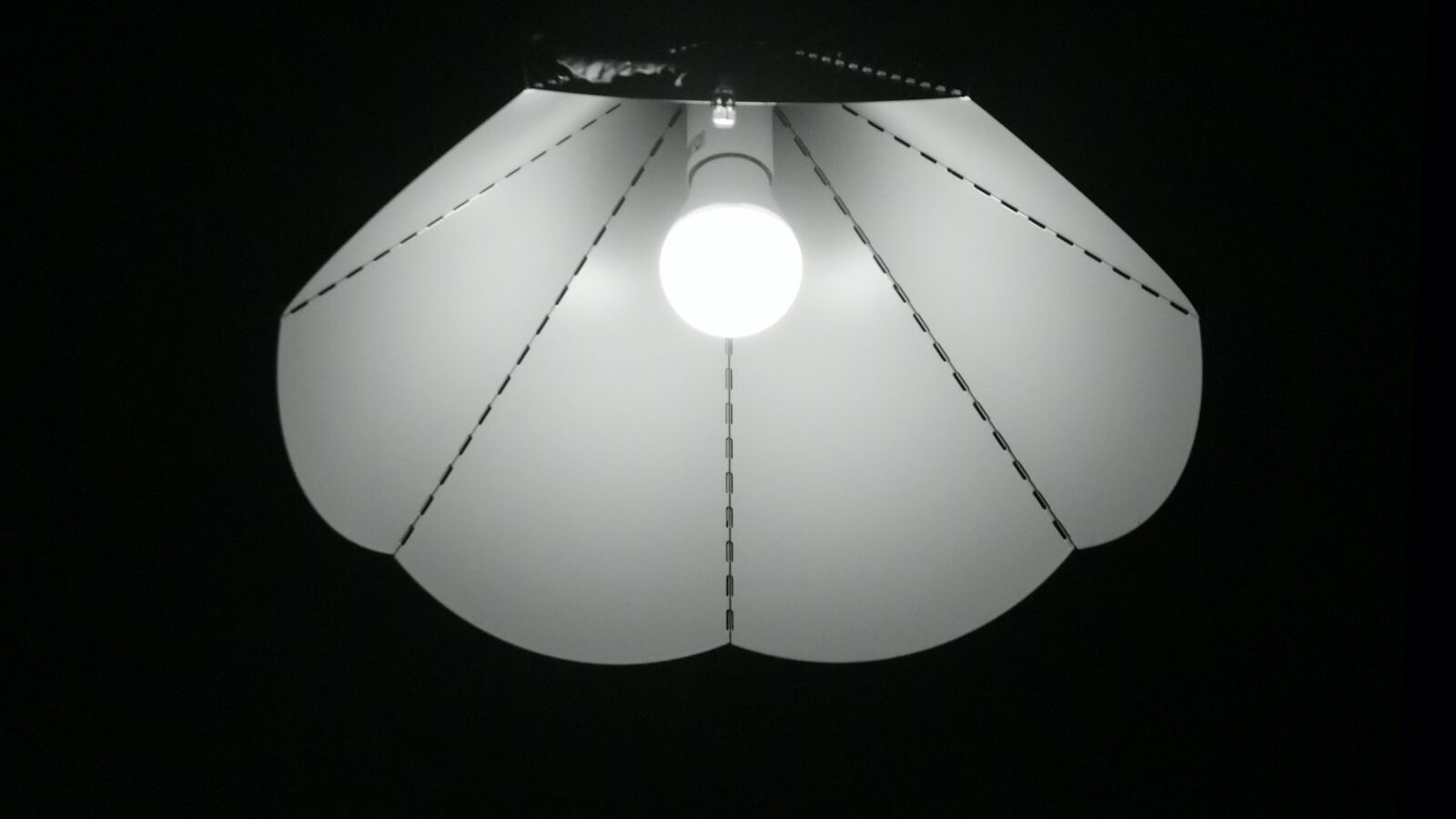 How to Use a Reflector and Diffuser