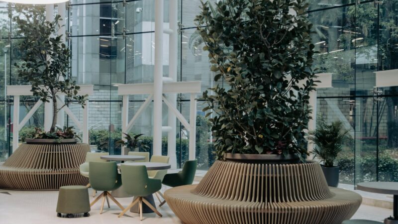 Biophilic Design: Bringing Nature Indoors