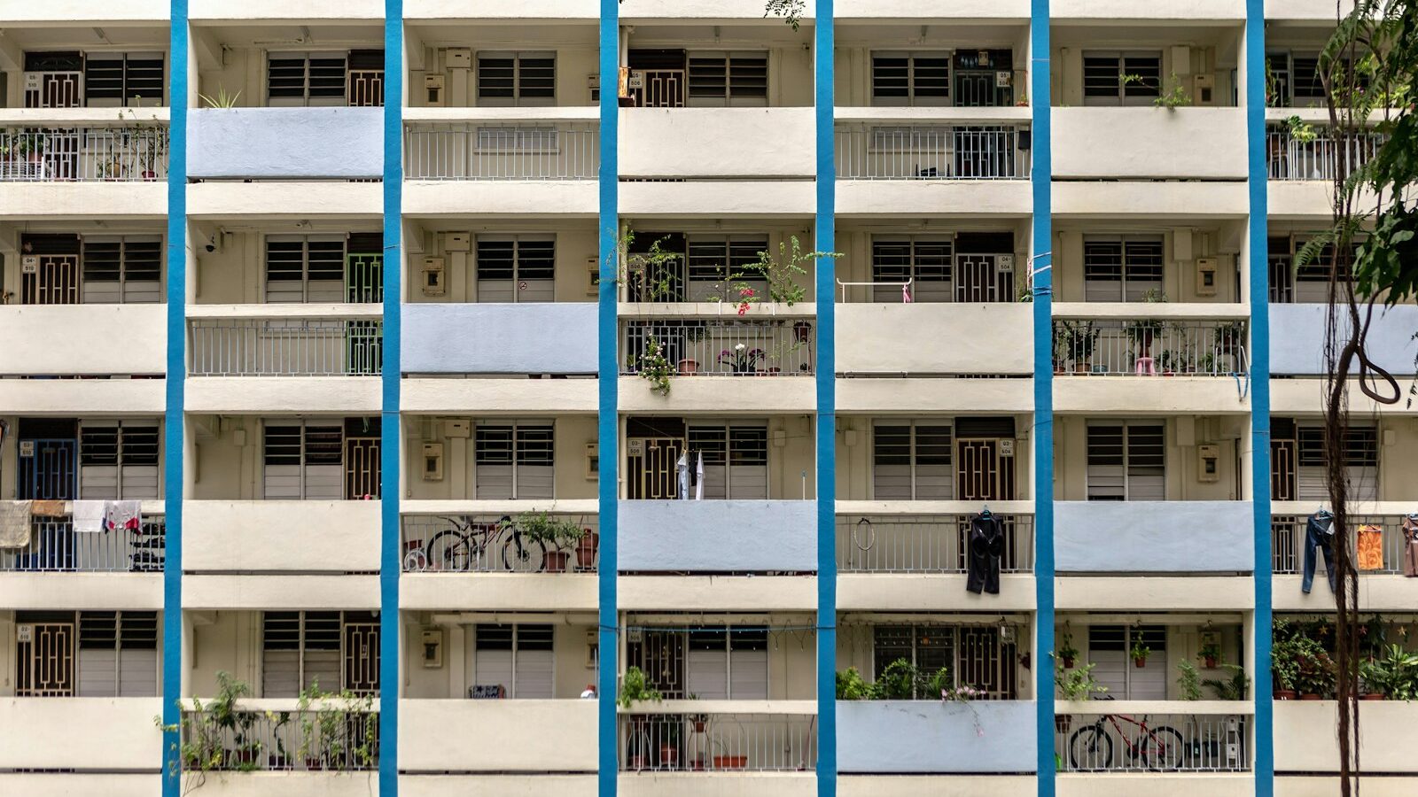 How to Cool a West-Facing Flat