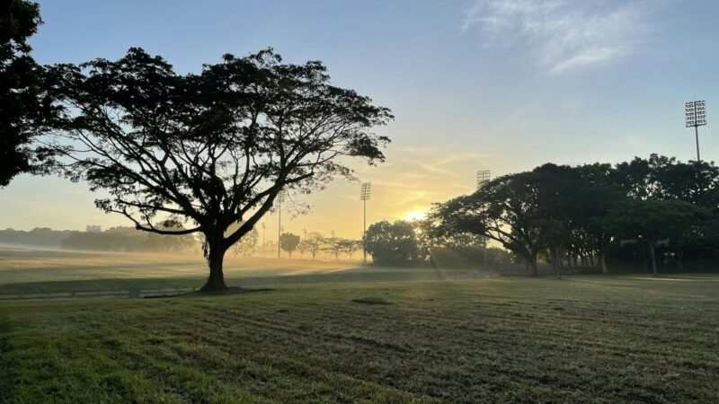Kranji Marshes: A Nature Guide