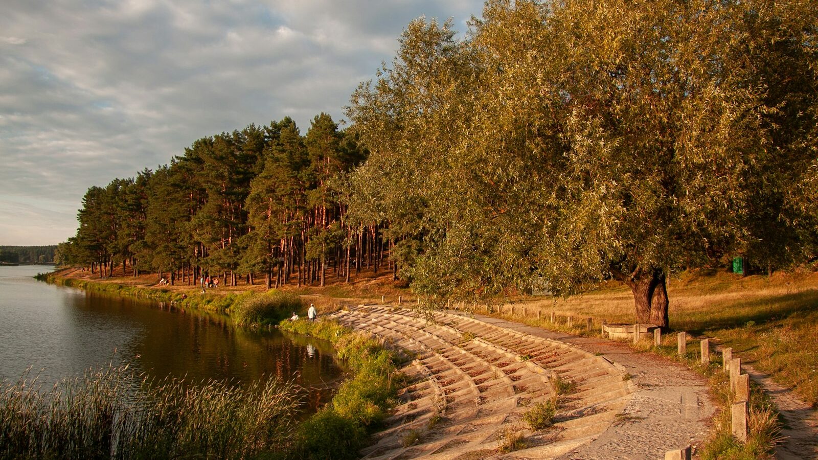 Woodlands Waterfront Park Guide