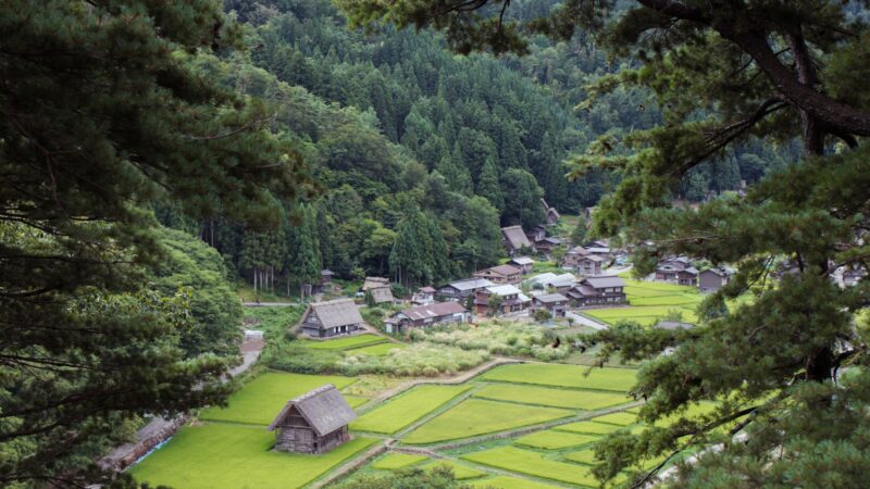 Shirakawa-go from Singapore: A Travel Guide