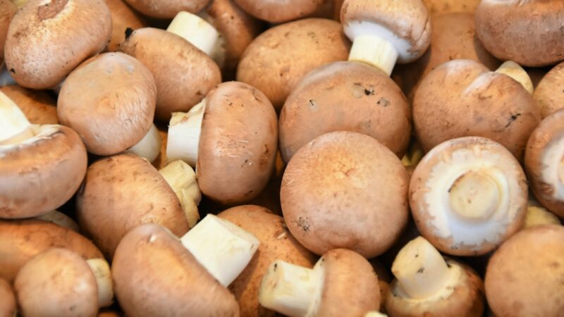 A Guide to Asian Mushrooms