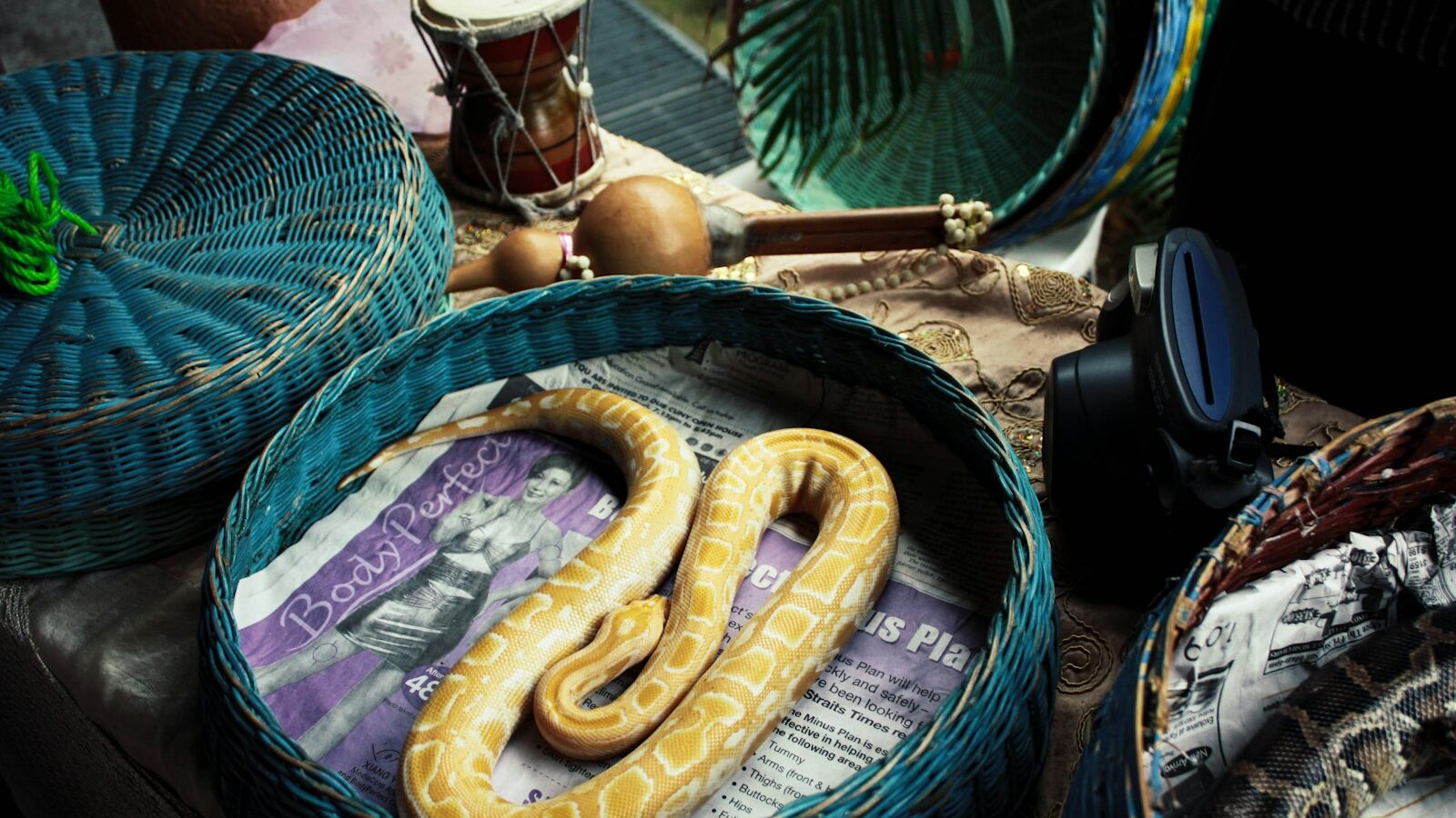 Basket Weaving for Beginners