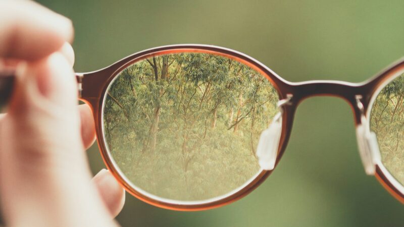 The Best Opticians in Singapore for Glasses, Lenses and Eye Tests