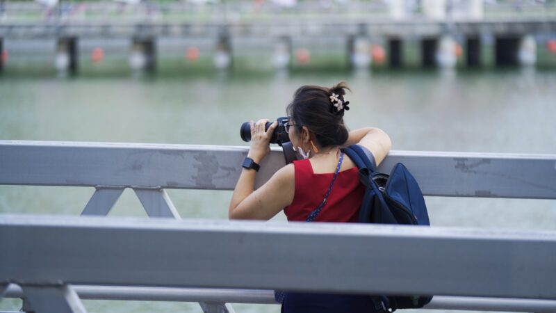 Birdwatching and Nature Spotting for Beginners