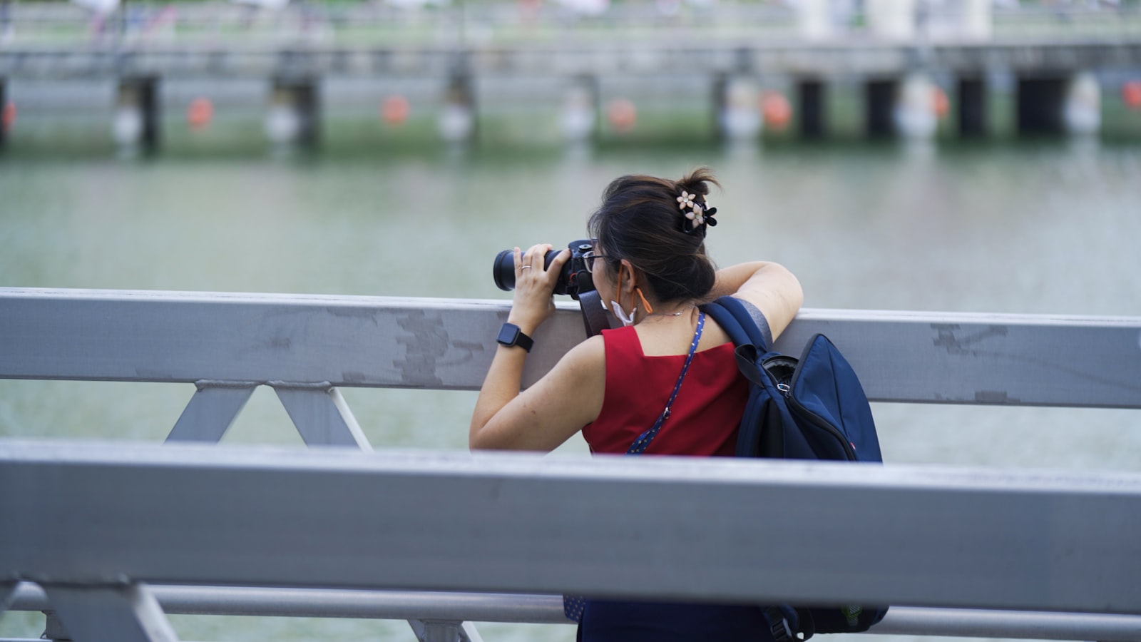 Birdwatching and Nature Spotting for Beginners