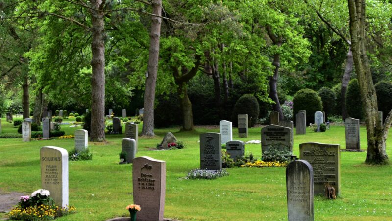 Bukit Brown and Heritage Cemeteries