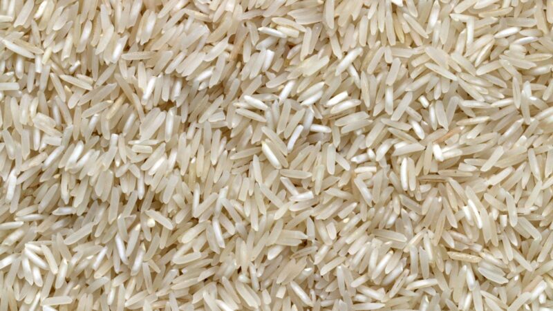 Economy Rice Singapore: How to Order Cai Png Like a Pro