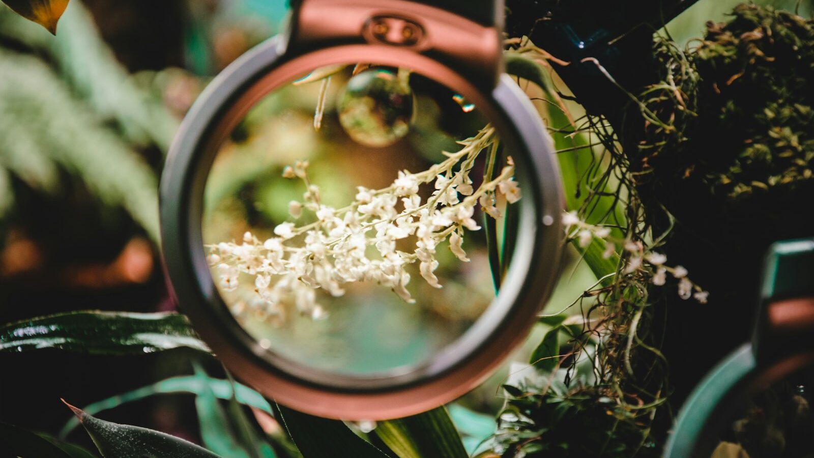 Choosing an Engagement Ring in Singapore