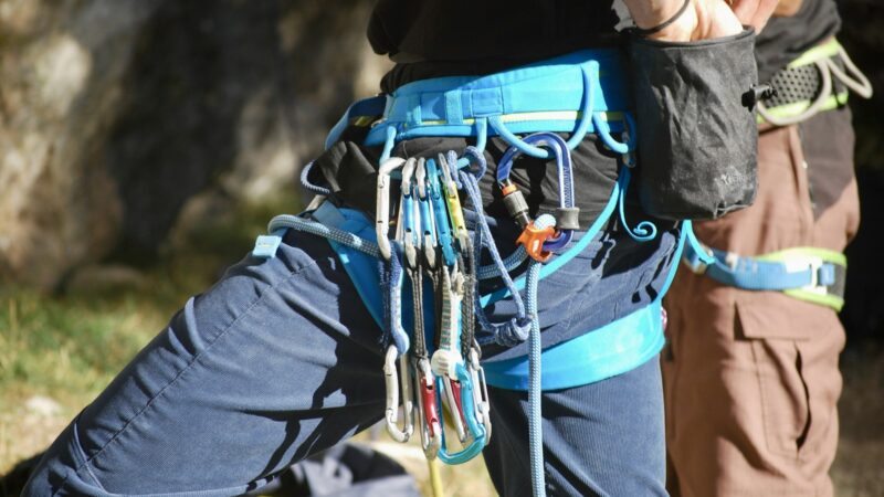 Choosing and Fitting a Harness or Collar