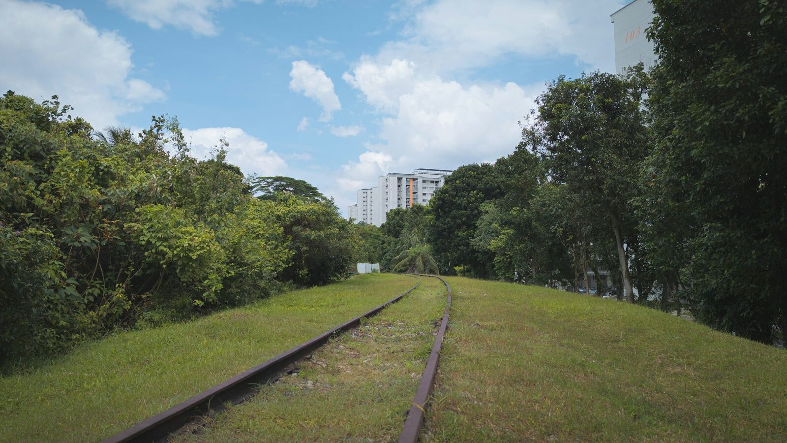 Clementi Neighbourhood Guide
