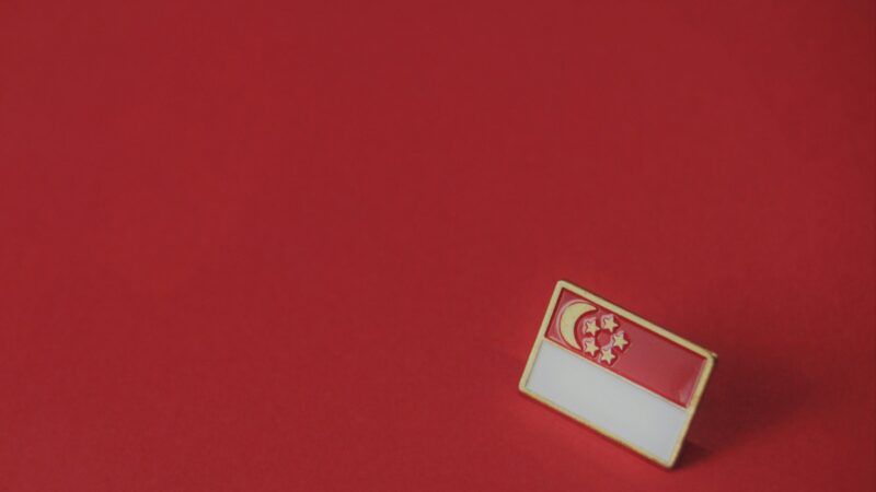 Collecting Enamel Pins in Singapore: A Fun Beginner’s Guide