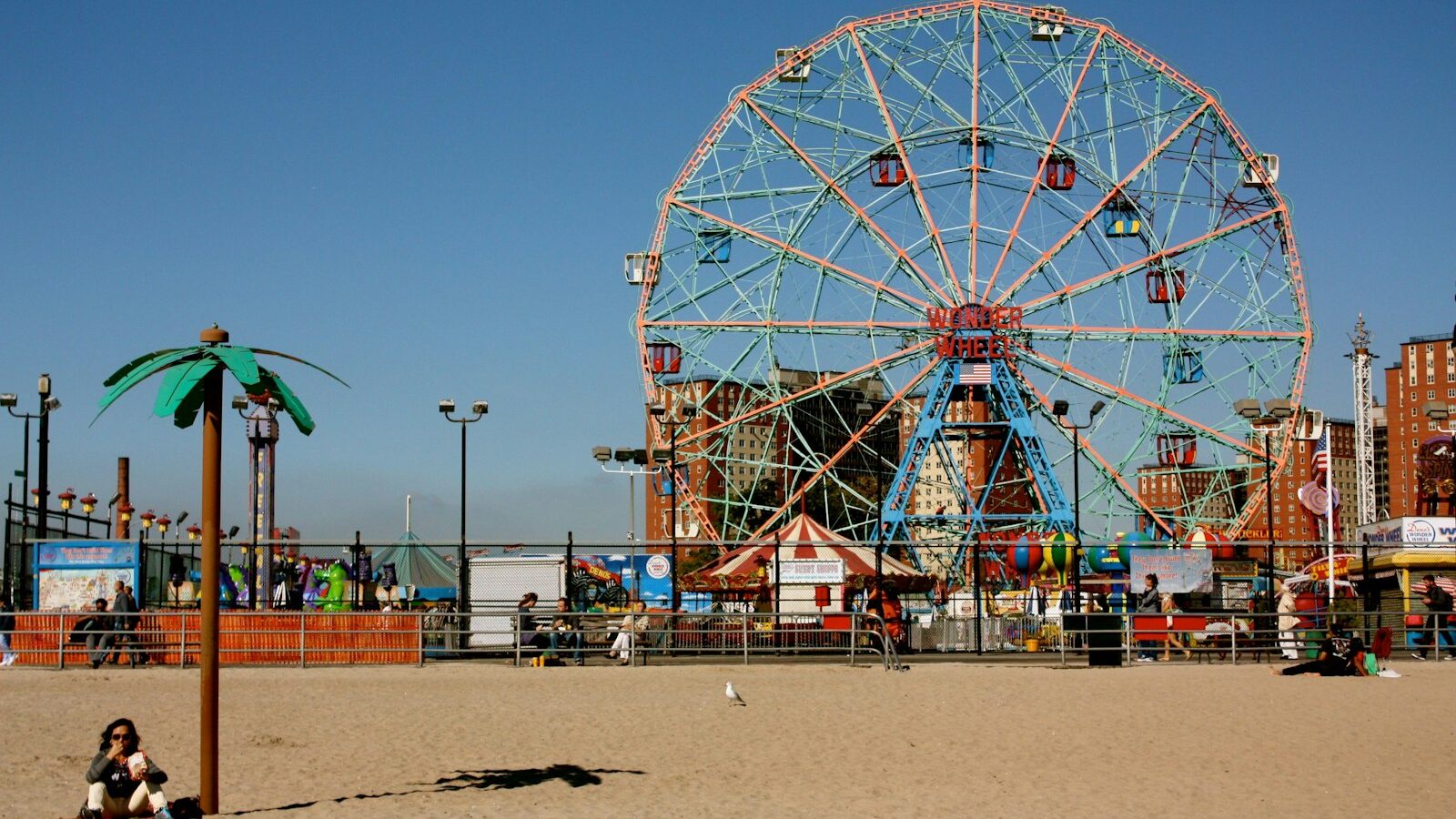 Coney Island: A Nature Guide