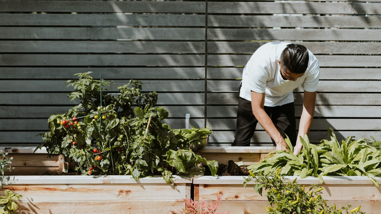 Corridor Gardening and HDB Rules in Singapore