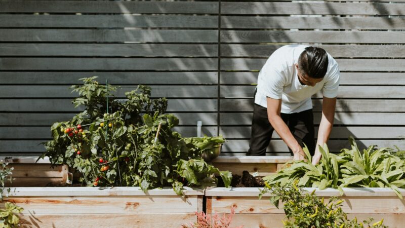 Corridor Gardening and HDB Rules in Singapore