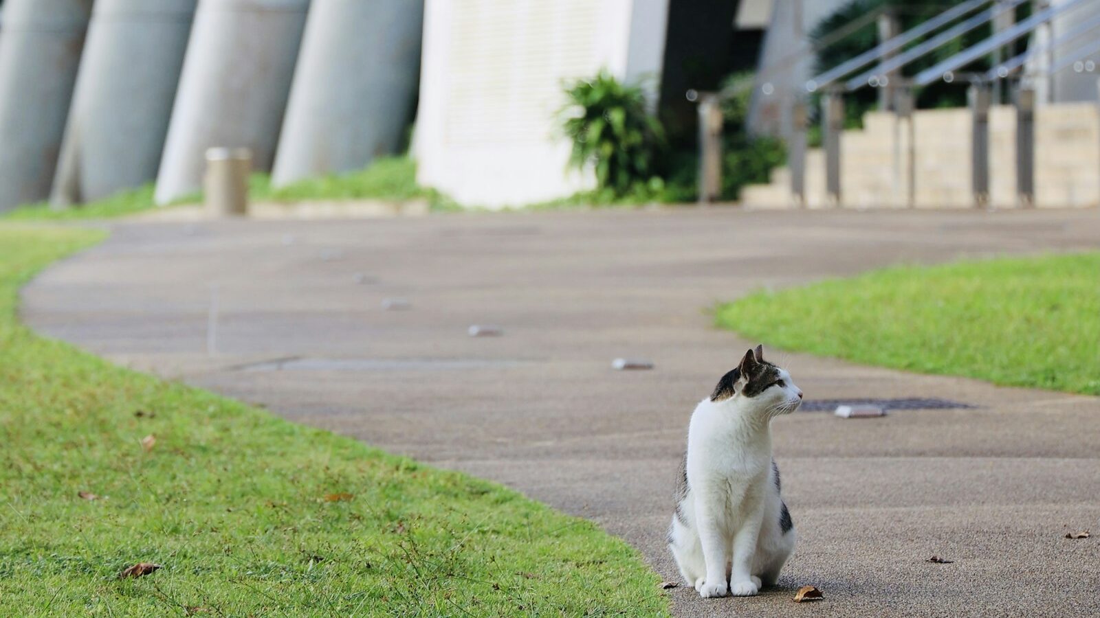 Deworming and Parasite Schedules for Pets