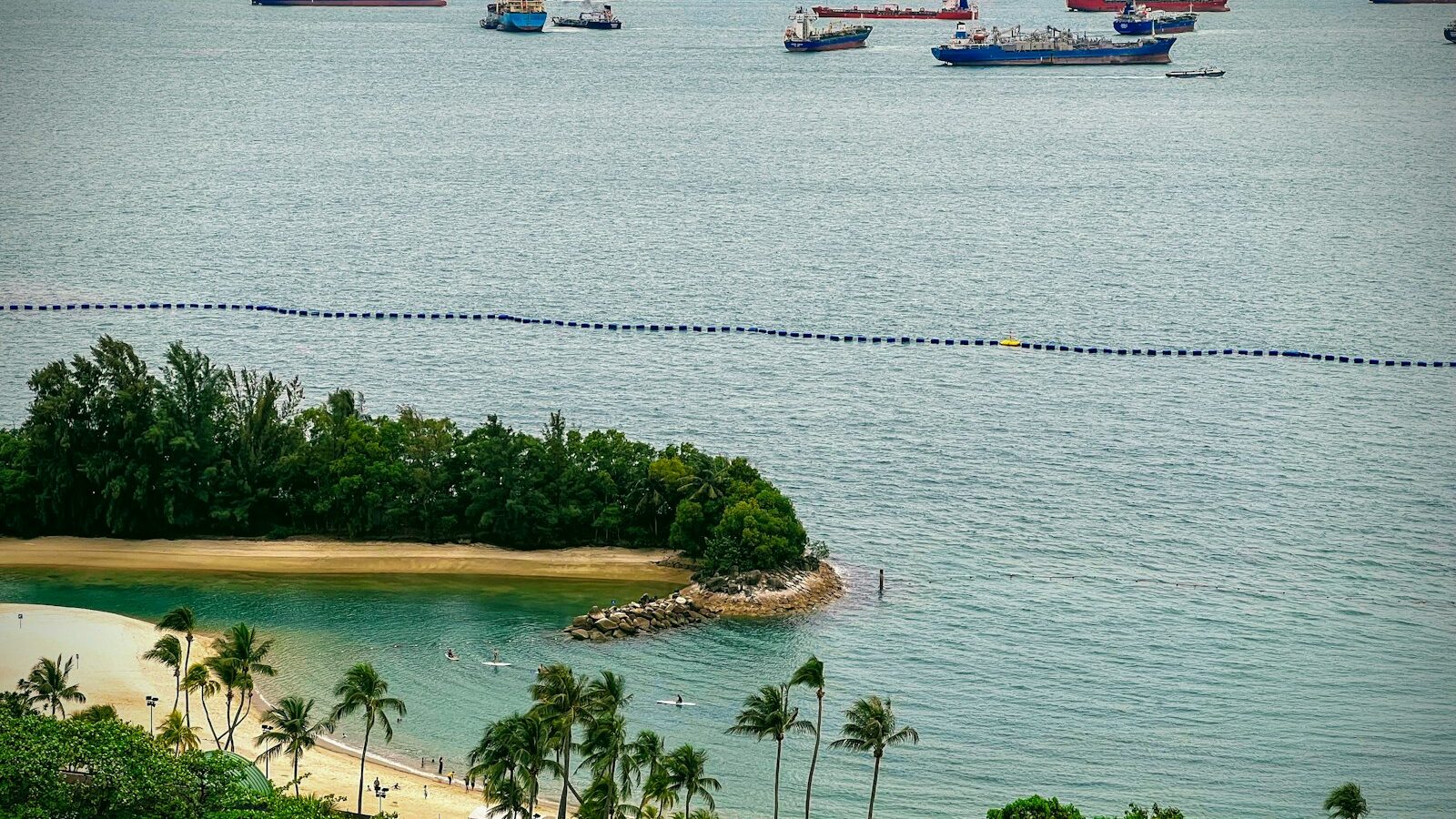 Diving and Snorkelling Lessons