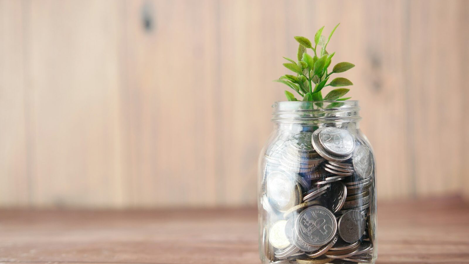 DIY Investing: Getting Started