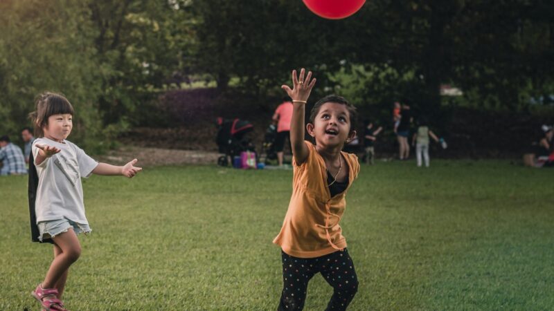 Early Intervention Programmes for Children in Singapore