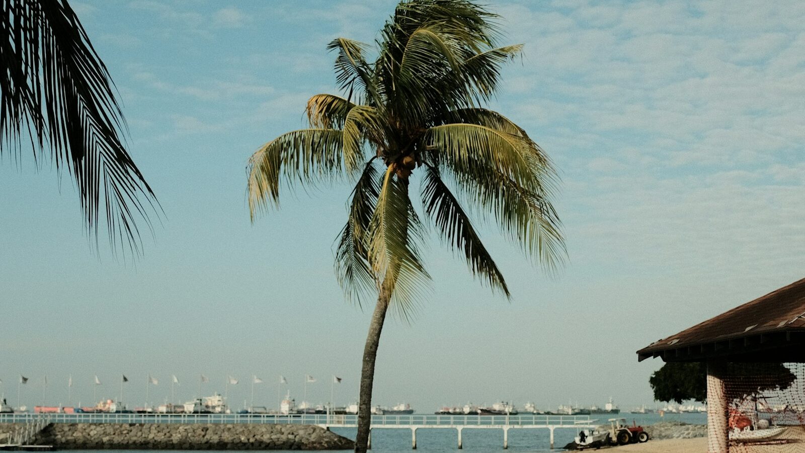 A Guide to East Coast Park, Singapore