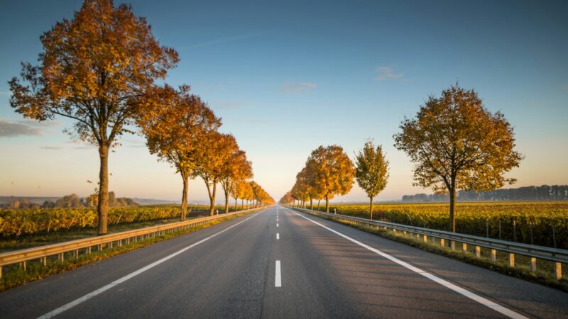ERP and Road Pricing Explained