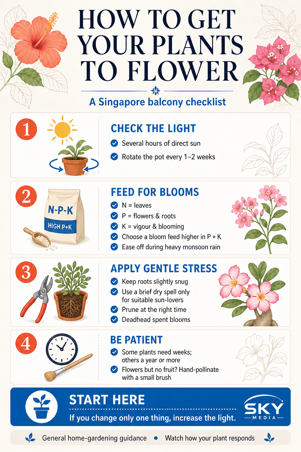 How to get your plants to flower in Singapore infographic