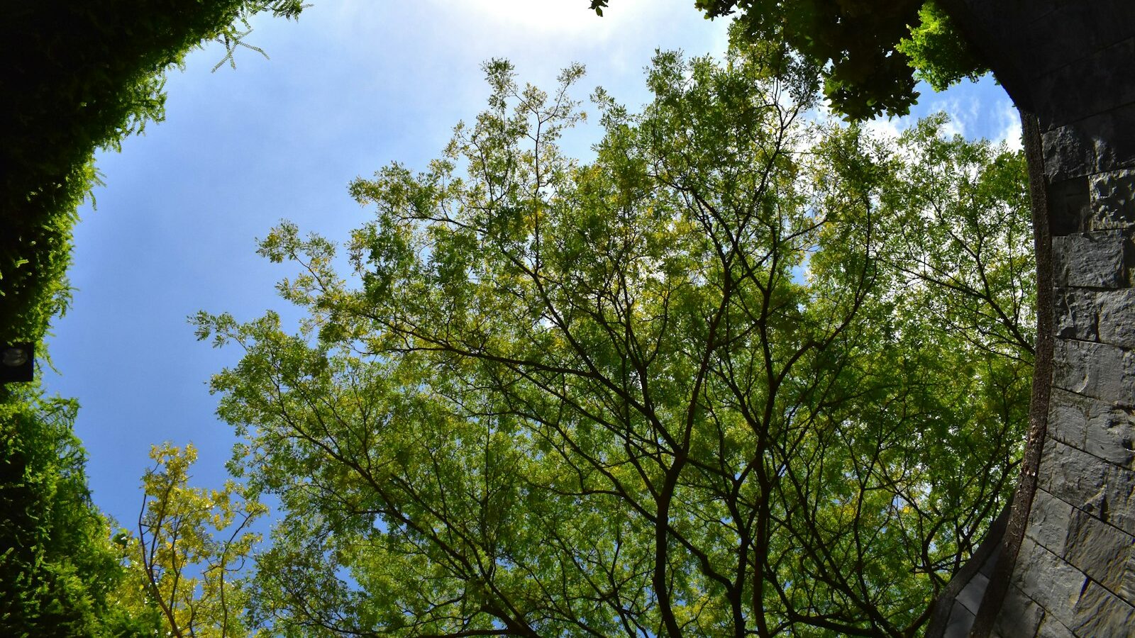 Fort Canning Park: A Guide