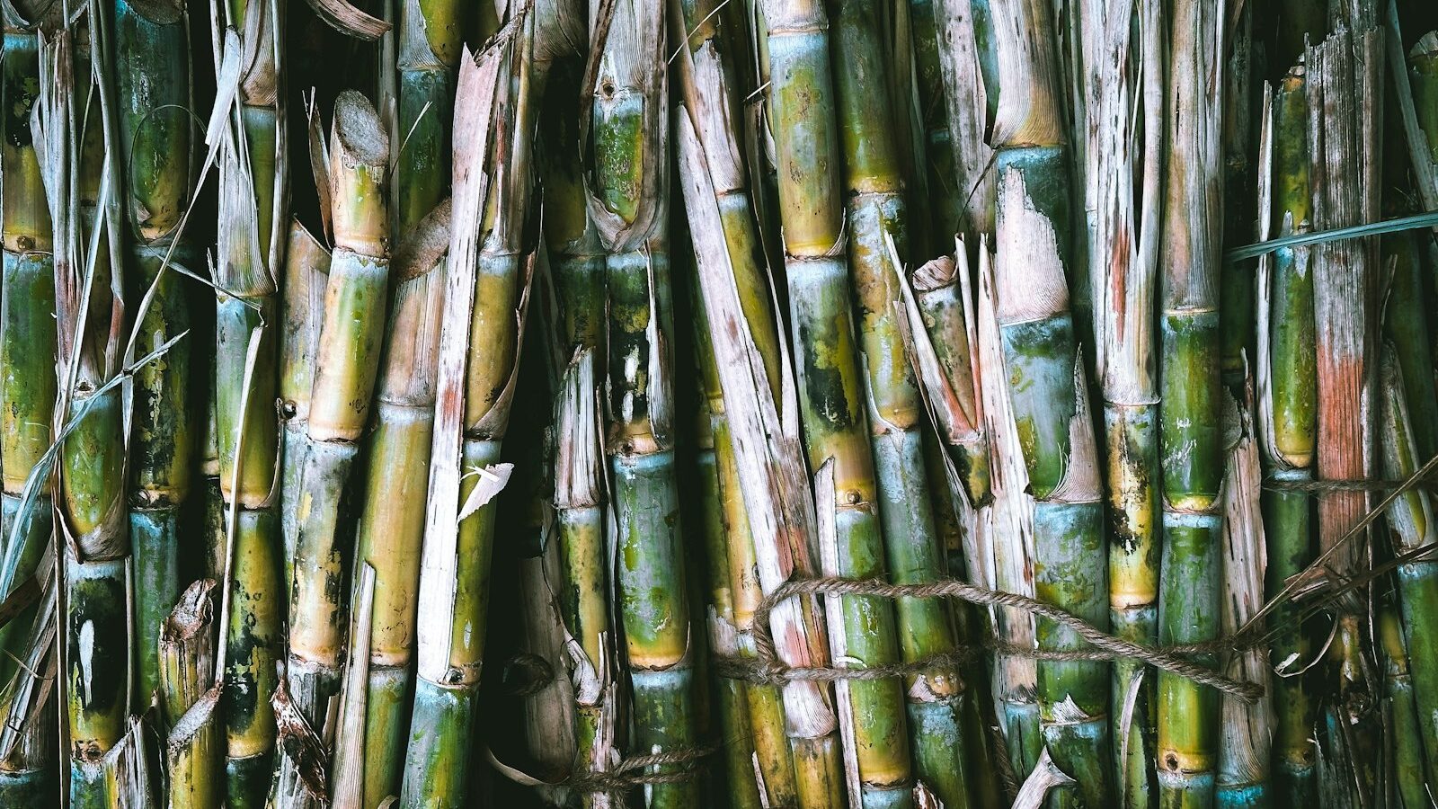 Fresh Juices and Sugarcane
