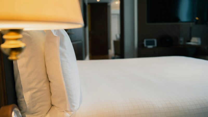 How to Get Rid of Bed Bugs at Home