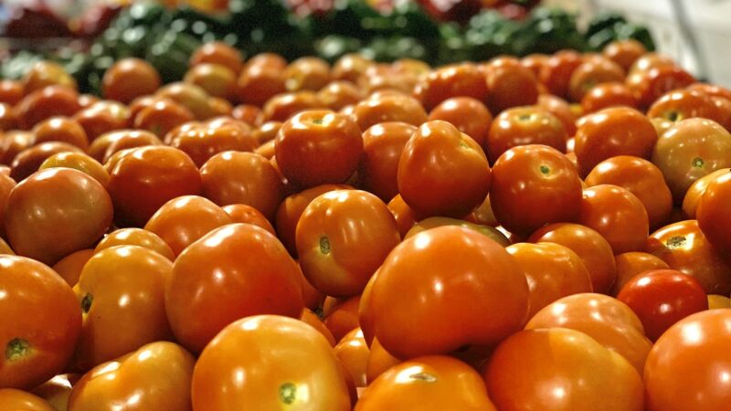 Growing Tomatoes in the Tropics