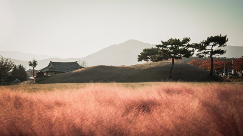 Gyeongju From Singapore