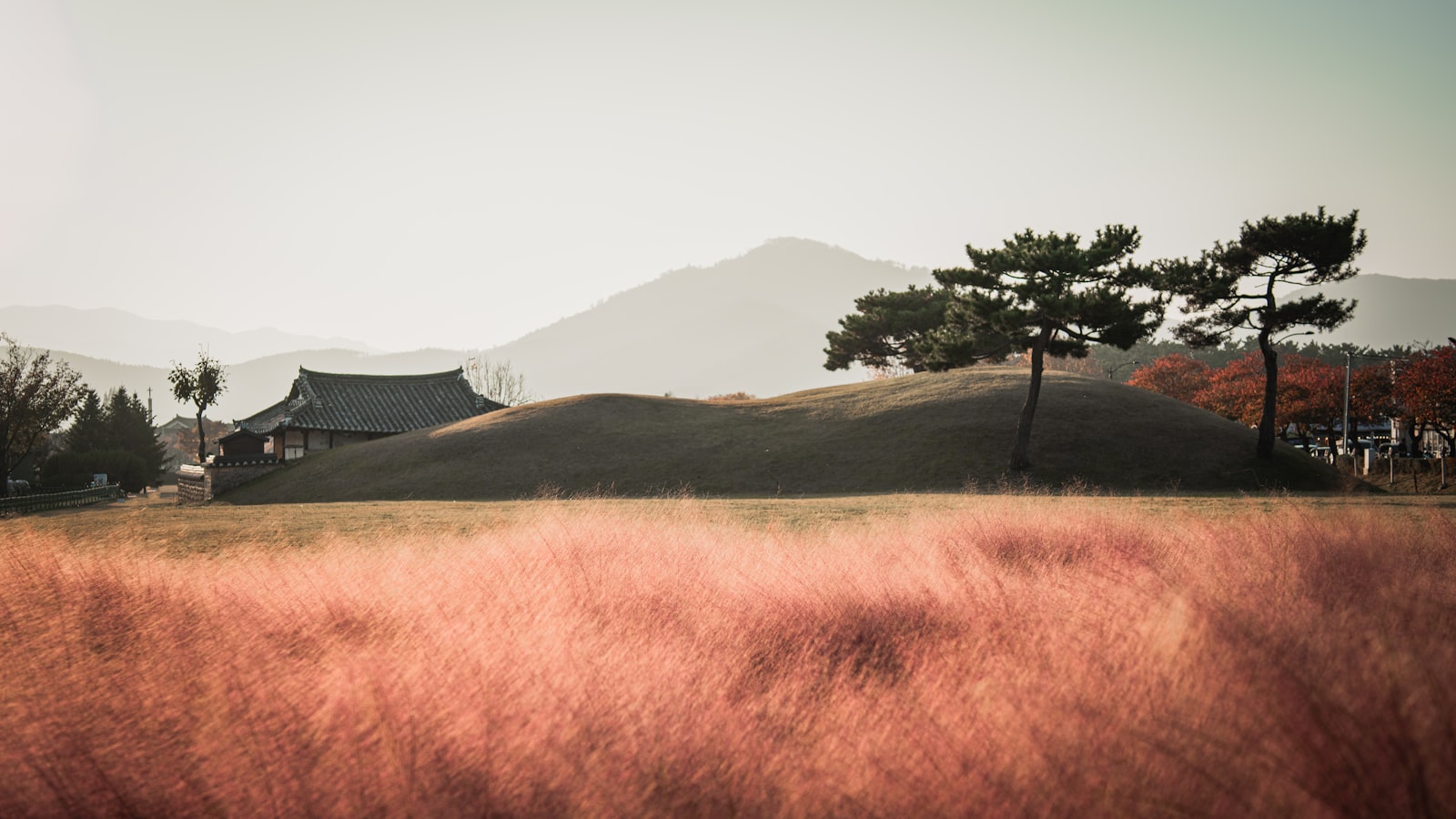 Gyeongju From Singapore