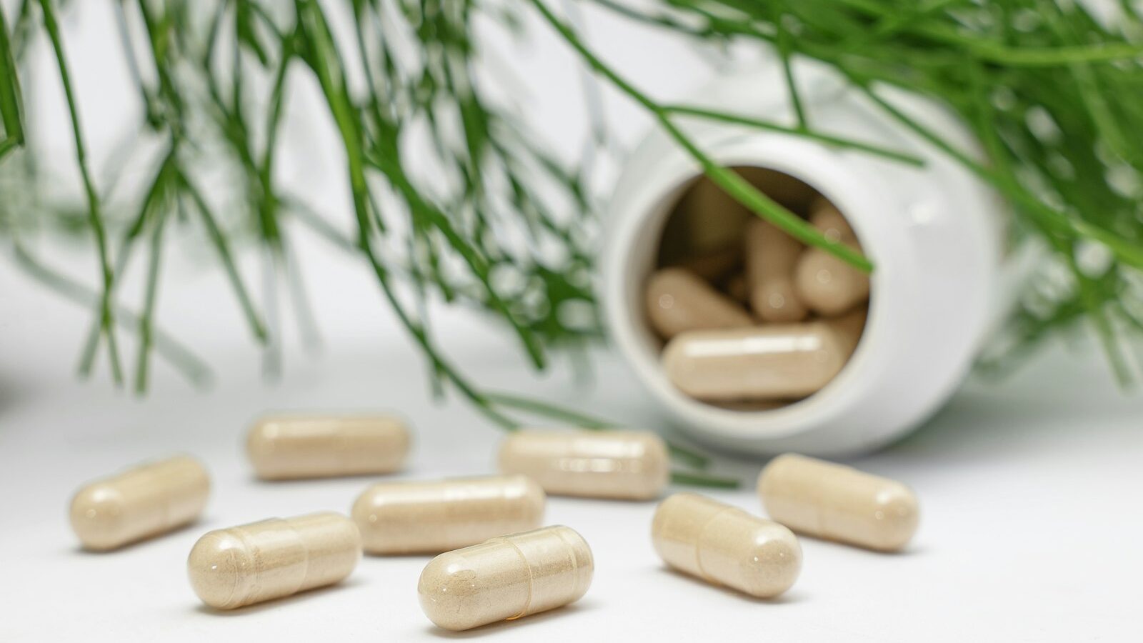 Hair Supplements and Biotin