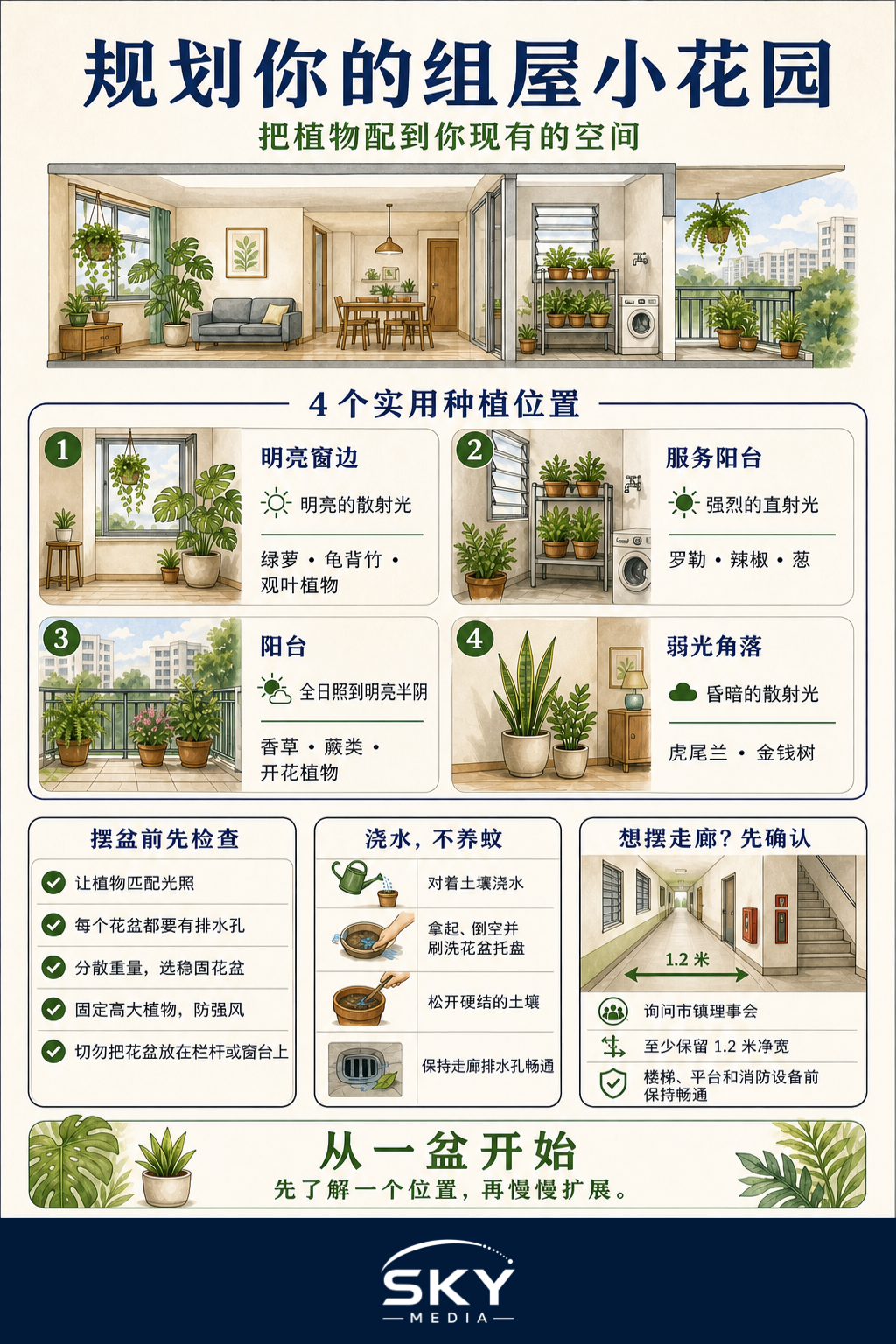 如何在新加坡组屋里种植信息图