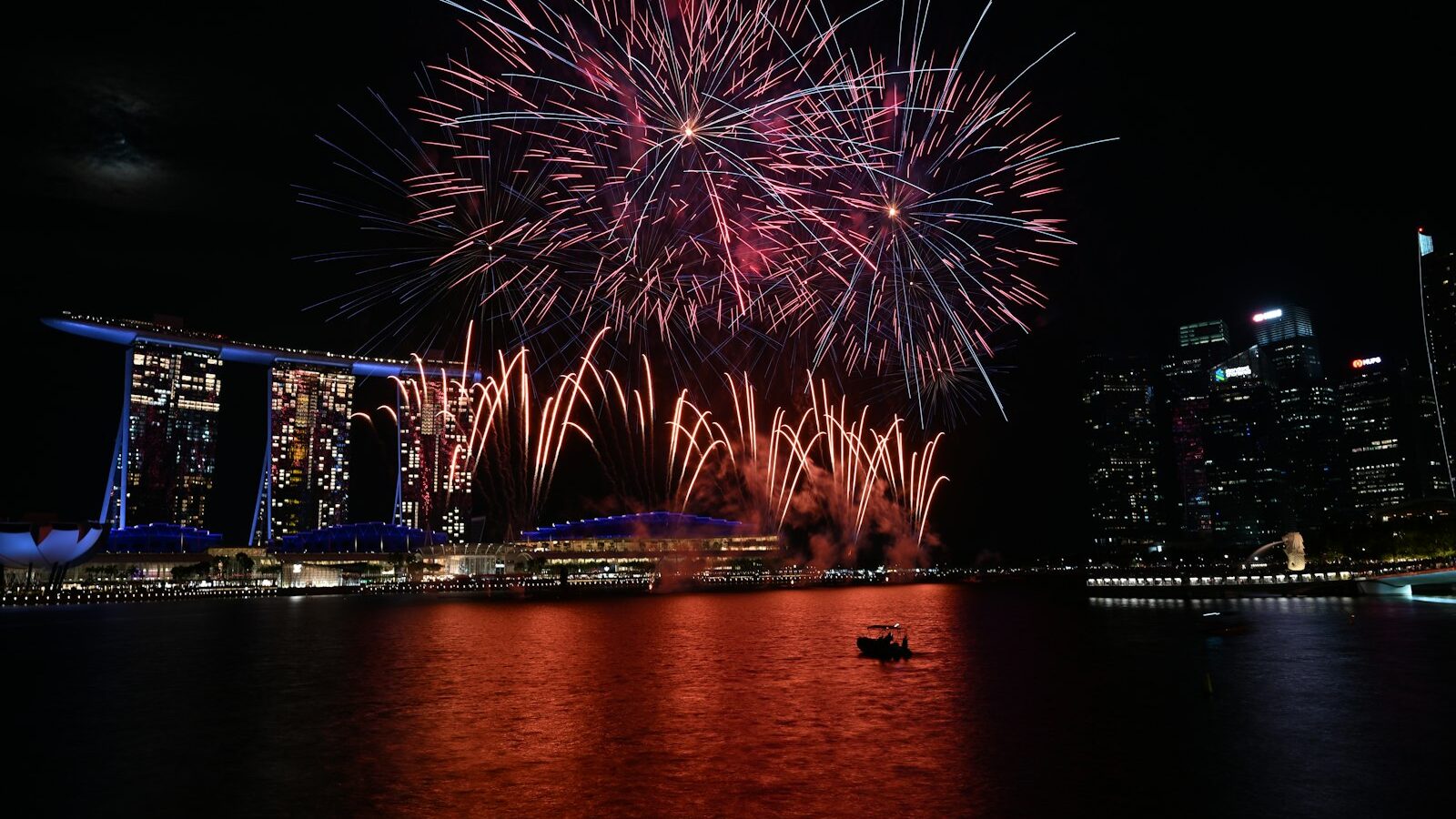 Helping Your Dog Cope With Fireworks and Thunder