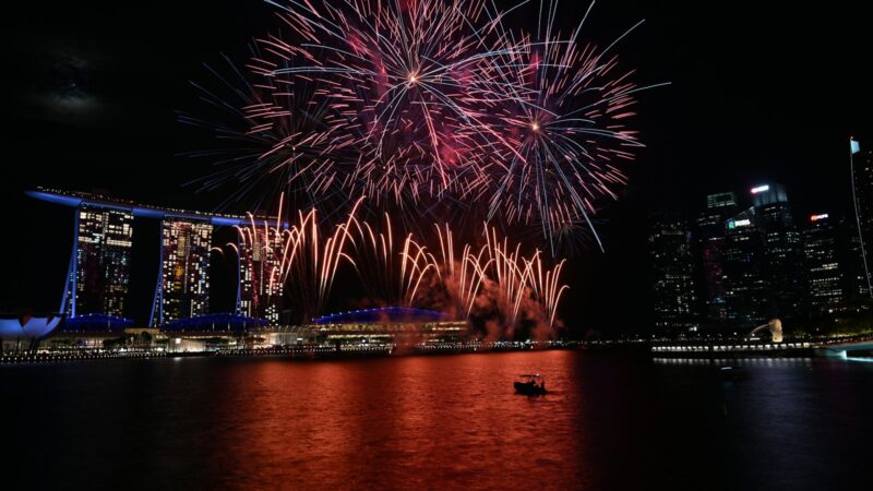 Helping Your Dog Cope With Fireworks and Thunder