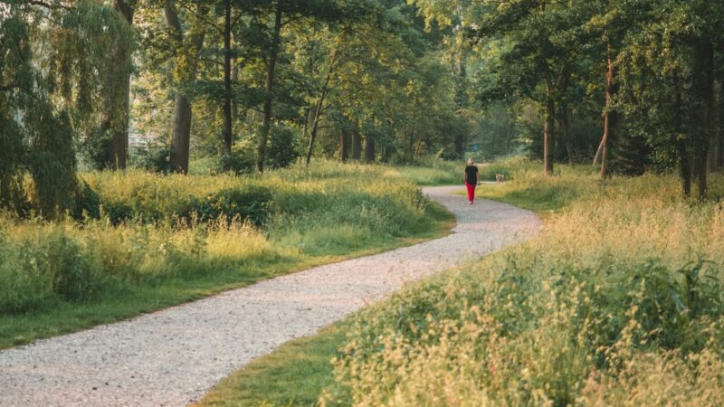 Heritage and Walking Trails