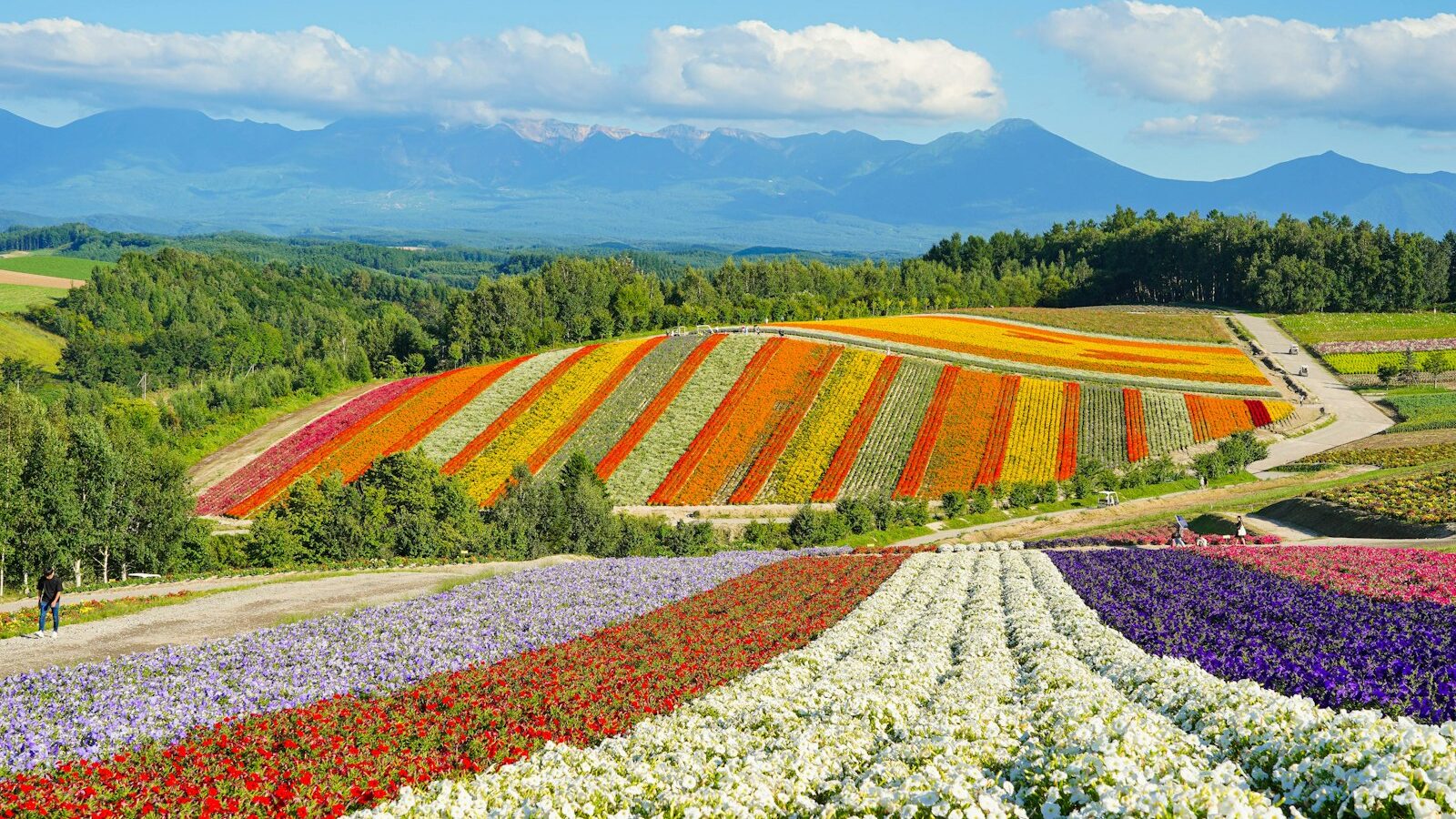 Hokkaido from Singapore: A Travel Guide