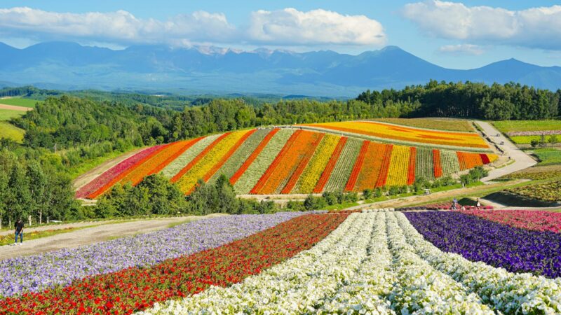 Hokkaido from Singapore: A Travel Guide