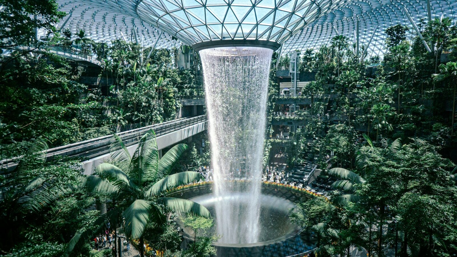 How to Acclimatise a New Plant