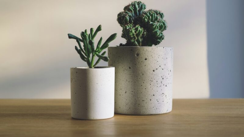 How to Choose the Right Pots and Planters in Singapore