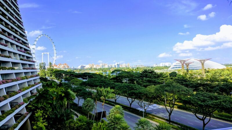 How to Garden in an HDB Flat in Singapore