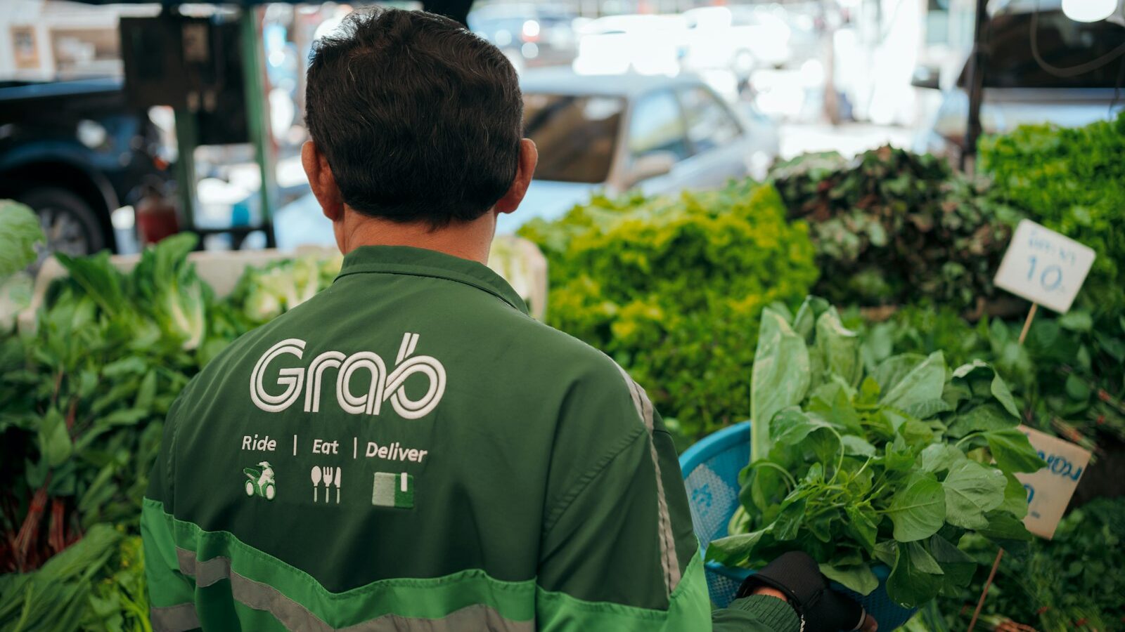 How to Grow Leafy Greens at Home in Singapore