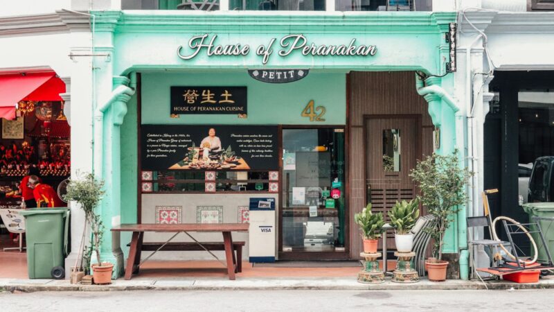 How to Grow Pandan and Local Herbs at Home in Singapore
