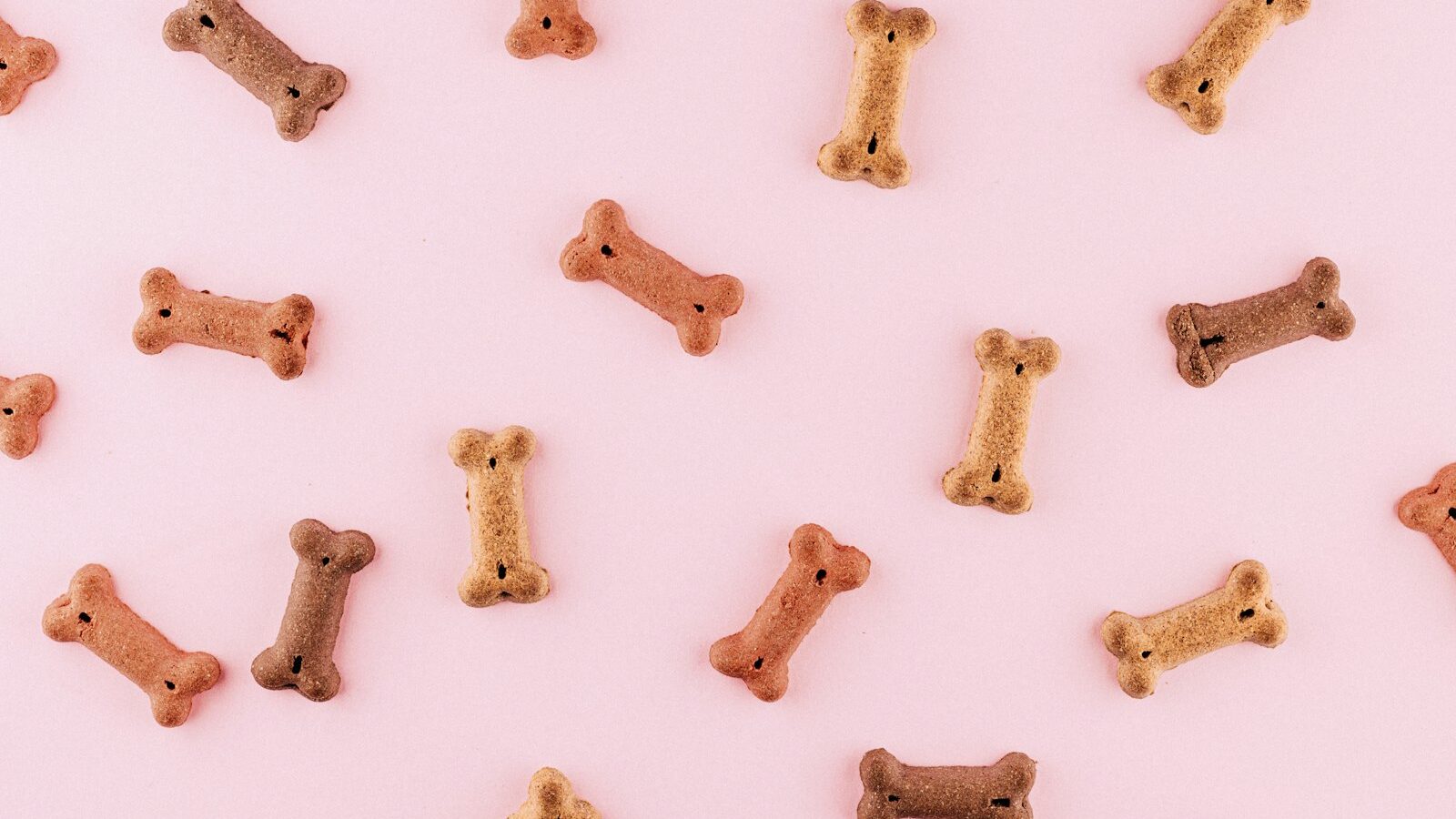How to Read Pet Food Labels