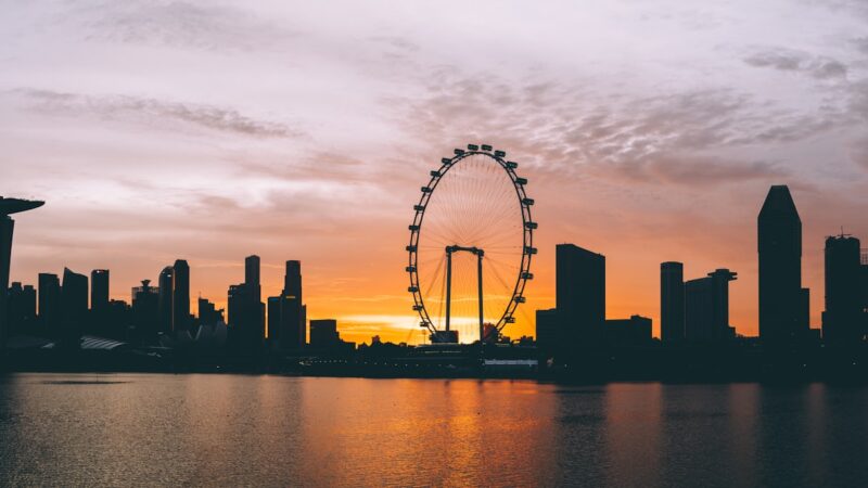 How to Shoot Silhouettes: Bold Shapes Against the Light